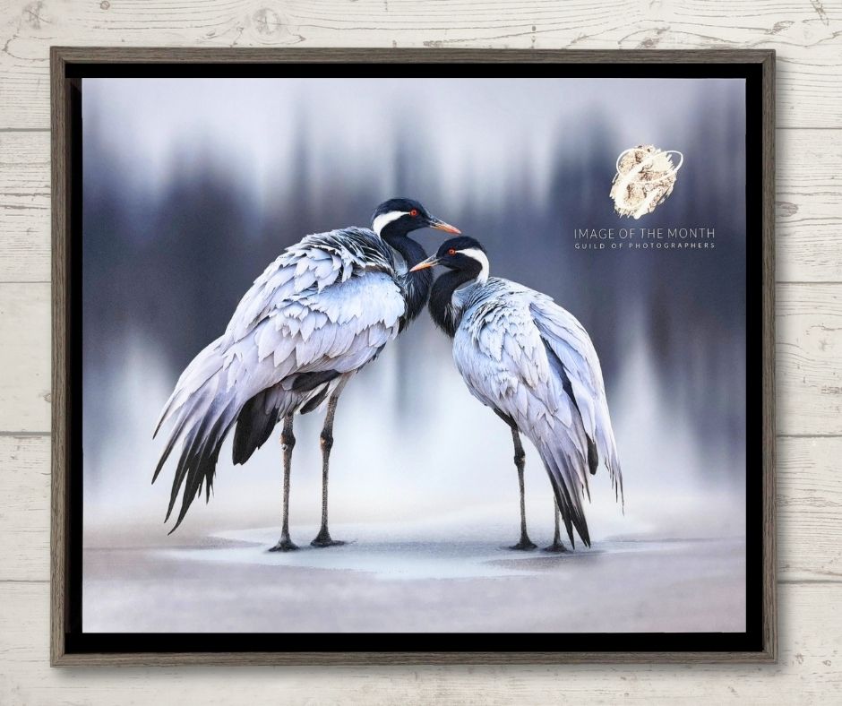 Tray Frame Mouldings