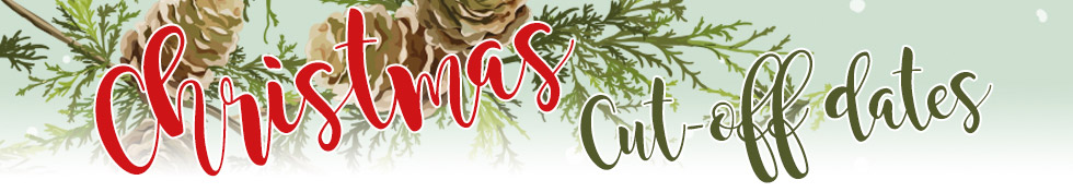 Christmas Opening Times Banner