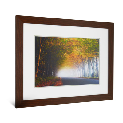 Photo Printing and Framing